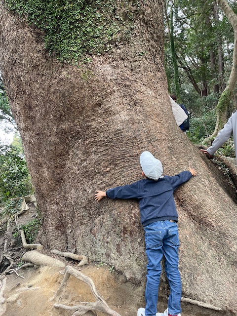 child hugging a big tree