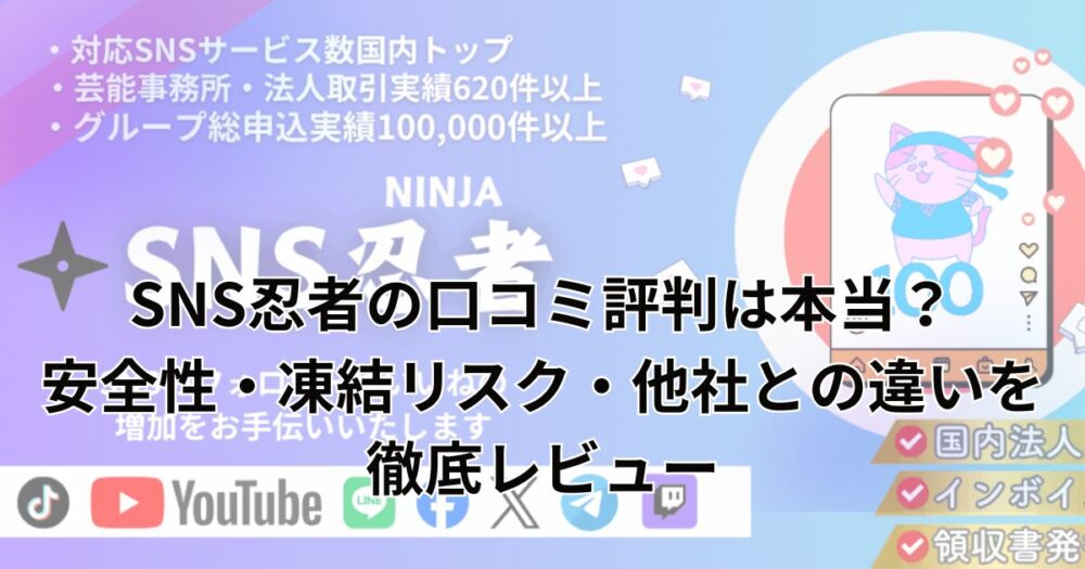 sns-ninja-review